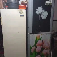 دو عدد یخچال فروشی