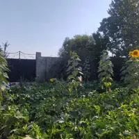 زمین ۹۲۴ متری در کامرانیه ملک آباد