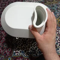 ابمیوه گیری براوون