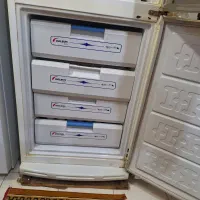 یخچال گلسان