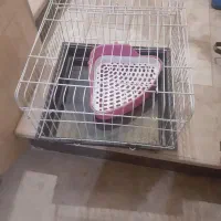 قفس حیوانات