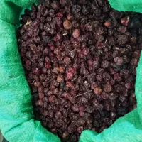 آلوچه خشک|خوردنی و آشامیدنی|تهران, بازار|دیوار