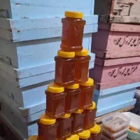 عسل طبیعی