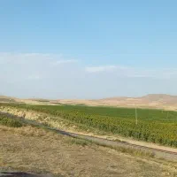 زمین کشاورزی