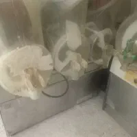 یخ دربهشت