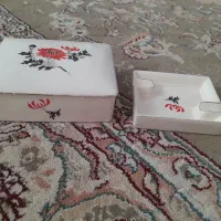 جاسیگاری شیک درب دار