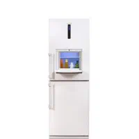 یخچال ۲۳فوت صنام