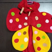 لباس محلی کودک|لباس|بیرجند, |دیوار