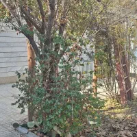 کلنگی-322متر-بر-خیابان-آتشگاه-با-تجاری-90متر-4روی