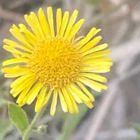 بلوبانک ووام ۴۰میلیونی