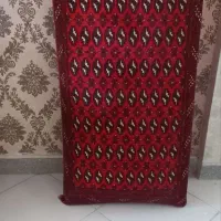 یک جفت پشتی سالم