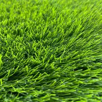 چمن ۳۵ میل سوپر|مصالح و تجهیزات ساختمان|گرگان, |دیوار