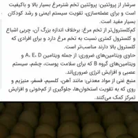 جوجه شترمرغ تخم خوراکی گوشت روغن قلم|حیوانات مزرعه|یاسوج, |دیوار