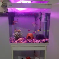 آکواریوم ابعاد ۴۰در۵۰شیشه خم