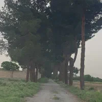 زمین|فروش زمین و ملک کلنگی|کهریزک, |دیوار