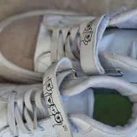 کفش نو|کیف، کفش، کمربند|ماکو, |دیوار