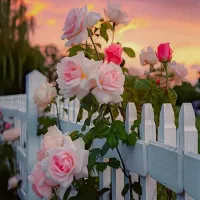 جوان جویای کار