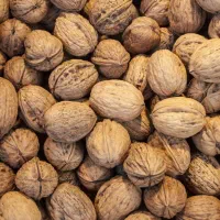 گردوی مخلوط (سفیدوقهوه ای)