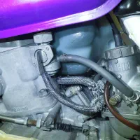 درجه یک تمام فابریک تمام پلم