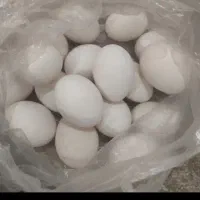 تخم مرغ لاری