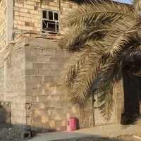 خونه ویلایی قاسم جلالی هم فروشی هم اجاره|فروش خانه و ویلا|میناب, |دیوار