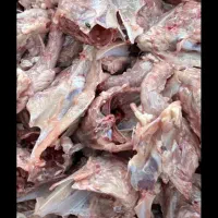 اسکلت و پوست مرغ