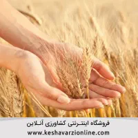 زمین کشاورزی