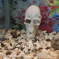 اکواریم|ماهی|قرچک, زیبا شهر|دیوار