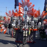 شاهپر علامت محرم|کلکسیون و سرگرمی|رشت, سلیمانداراب|دیوار