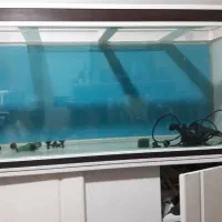 اکواریوم ۱۲۰