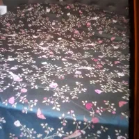 روتختی با دوتا رو بالشیش