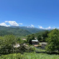 فروش زمین باغی کشاورزی لفور روستای کالیکلا|فروش زمین و ملک کلنگی|آلاشت, |دیوار