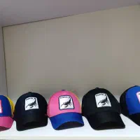 کلاه گورین نقاب دار|لباس|سلماس, |دیوار