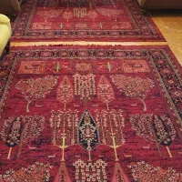 دو عدد فرش شش متری لاکی