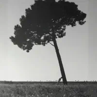 مهندسی عمران