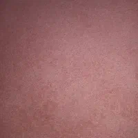 فرش|فرش|رشت, پاره بیجار|دیوار