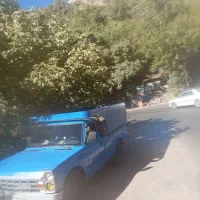 نیسان دوگانه کارخانه