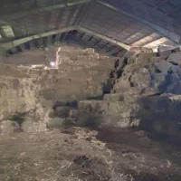 یونجه چین دو سه چهار