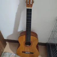 گیتار فروشی