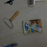 وسایل گربه|لوازم جانبی حیوانات|قزوین, |دیوار