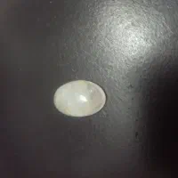 دُر نجف|جواهرات|دامغان, |دیوار