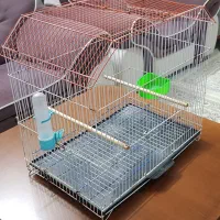 قفس پرنده|لوازم جانبی حیوانات|آمل, |دیوار