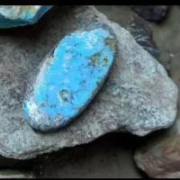 فیروزه نیشابوری اصل