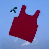 نیم تنه و کراپ پ درب منزل|لباس|خرمآباد, |دیوار