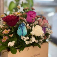 اجاره صندلی میکروپیگمنتنشن ومژه یک میلیون