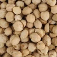 نخود دیم تازه امسالی
