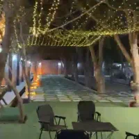 موسسه بازیگری دارم  و شریک میخام