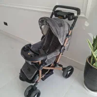 کالسکه|کالسکه و لوازم جانبی|شوش, |دیوار