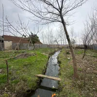 زمین وسط بهشت با انشعابات منطقه آزاد