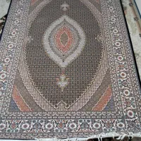 سلام فرش 6 متر نونو ب فروش میرست فوری